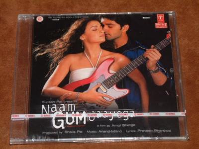 NAAM GUM JAAYEGA 
